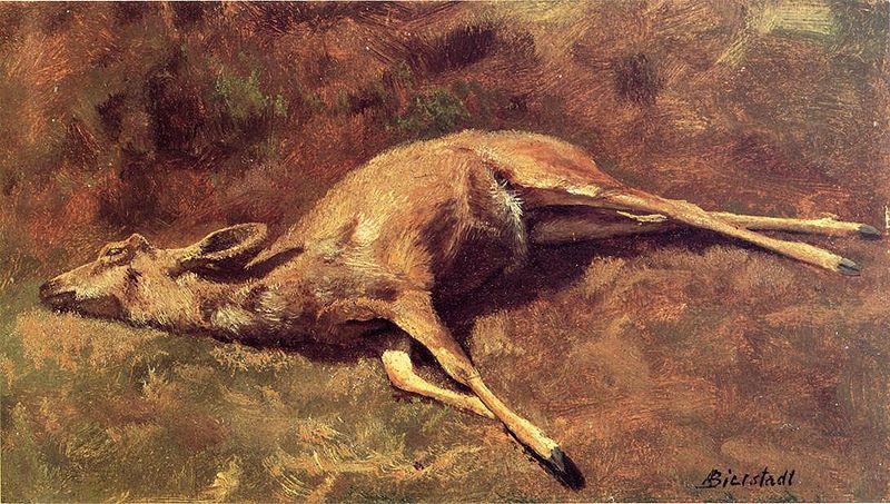 Albert Bierstadt A Native of the Woods